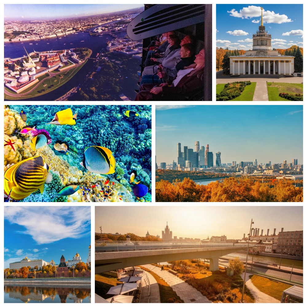 Москва для всех (Океанариум, ВДНХ, Парк «Зарядье», медиакомплекс «Полёт»)